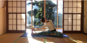 Blue Daisy 東松山